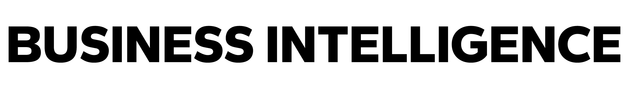 Business Intelligence